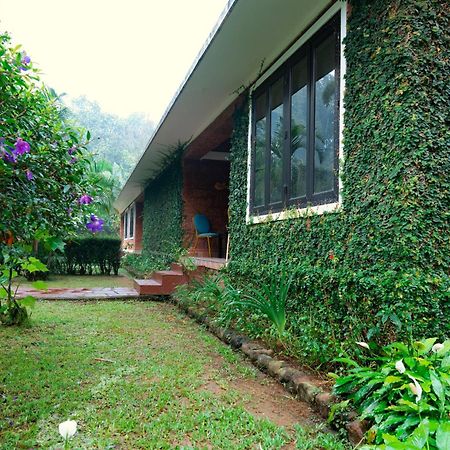 Falling Waters Munnar Exteriör bild